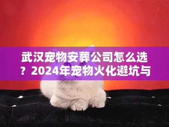 武汉宠物安葬公司怎么选？2024年宠物火化避坑与流程内幕
