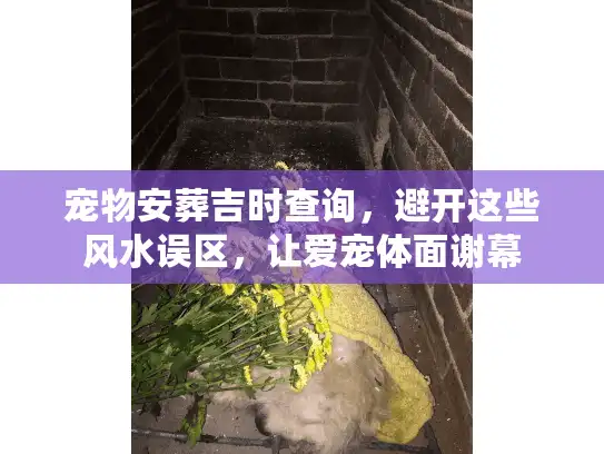 宠物安葬吉时查询，避开这些风水误区，让爱宠体面谢幕