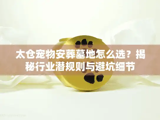 太仓宠物安葬墓地怎么选？揭秘行业潜规则与避坑细节