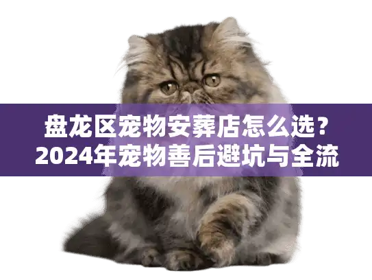 盘龙区宠物安葬店怎么选？2024年宠物善后避坑与全流程实录