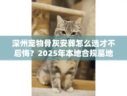 深州宠物骨灰安葬怎么选才不后悔？2025年本地合规墓地与避坑内幕