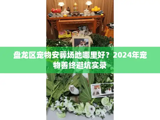盘龙区宠物安葬场地哪里好？2024年宠物善终避坑实录