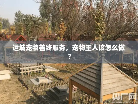 运城宠物善终服务，宠物主人该怎么做？