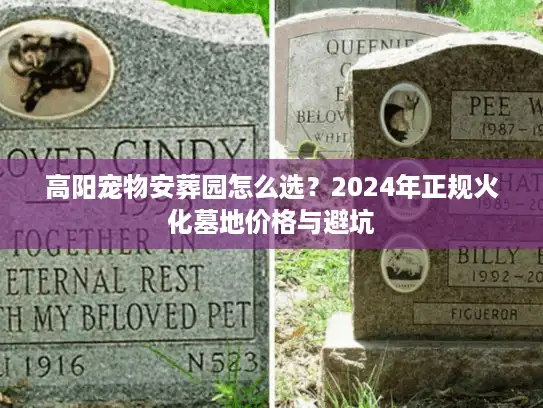高阳宠物安葬园怎么选？2024年正规火化墓地价格与避坑