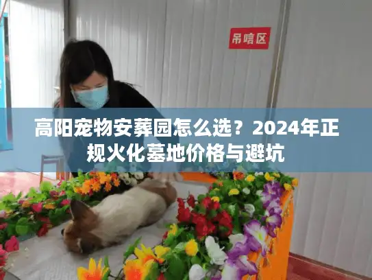 高阳宠物安葬园怎么选？2024年正规火化墓地价格与避坑