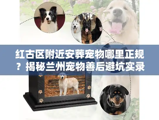 红古区附近安葬宠物哪里正规？揭秘兰州宠物善后避坑实录