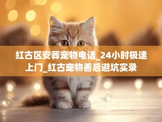红古区安葬宠物电话_24小时极速上门_红古宠物善后避坑实录