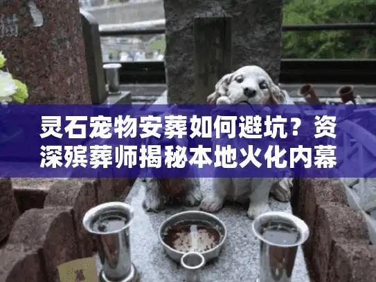 灵石宠物安葬如何避坑？资深殡葬师揭秘本地火化内幕