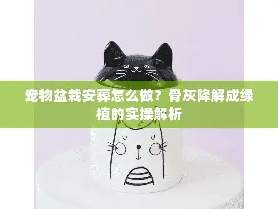 宠物盆栽安葬怎么做？骨灰降解成绿植的实操解析