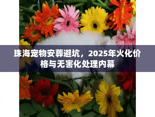 珠海宠物安葬避坑，2025年火化价格与无害化处理内幕