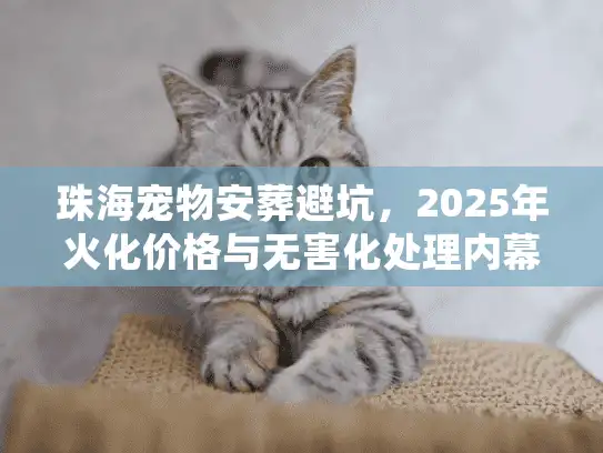 珠海宠物安葬避坑，2025年火化价格与无害化处理内幕