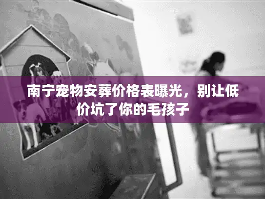 南宁宠物安葬价格表曝光，别让低价坑了你的毛孩子