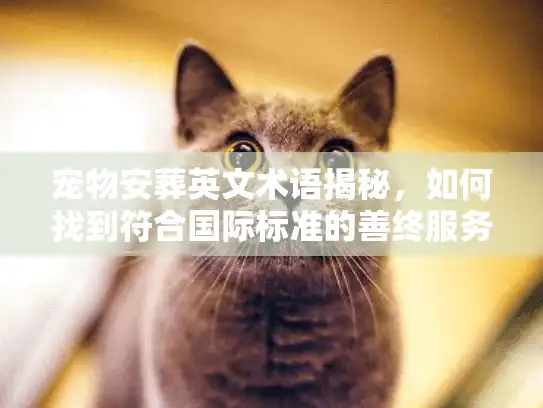宠物安葬英文术语揭秘，如何找到符合国际标准的善终服务?