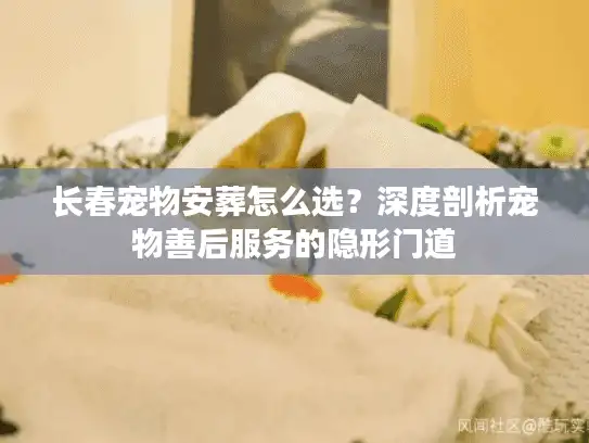 长春宠物安葬怎么选？深度剖析宠物善后服务的隐形门道