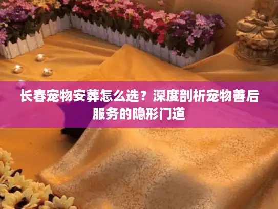 长春宠物安葬怎么选？深度剖析宠物善后服务的隐形门道