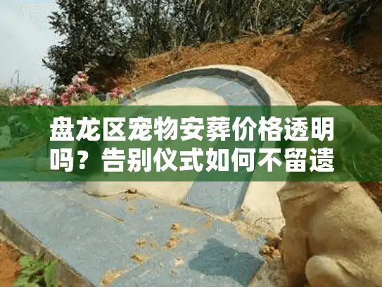 盘龙区宠物安葬价格透明吗？告别仪式如何不留遗憾？