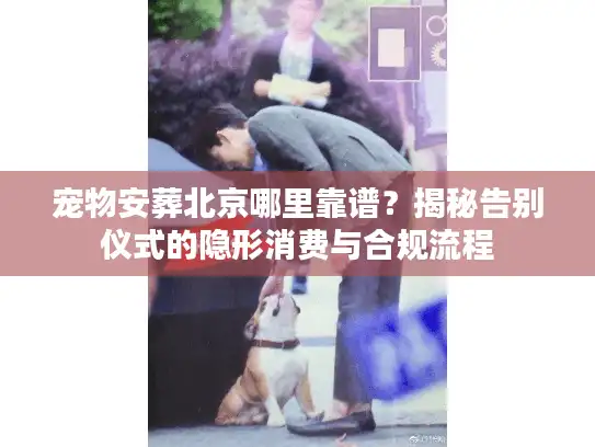宠物安葬北京哪里靠谱？揭秘告别仪式的隐形消费与合规流程