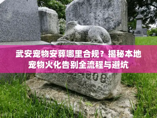 武安宠物安葬哪里合规？揭秘本地宠物火化告别全流程与避坑