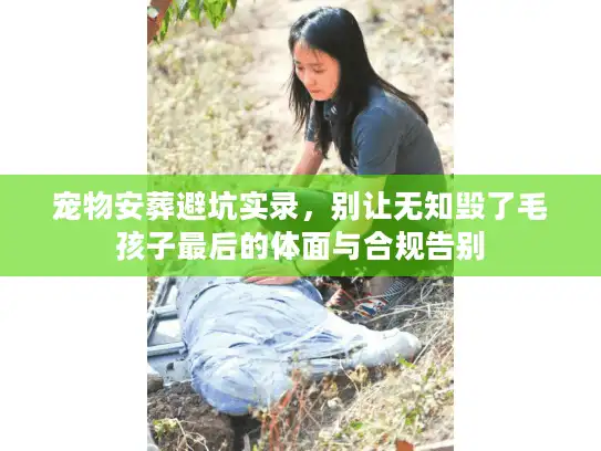 宠物安葬避坑实录，别让无知毁了毛孩子最后的体面与合规告别