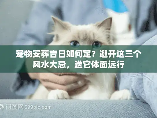宠物安葬吉日如何定？避开这三个风水大忌，送它体面远行