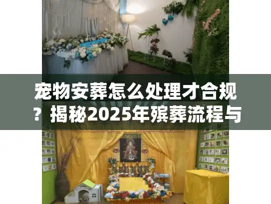 宠物安葬怎么处理才合规？揭秘2025年殡葬流程与避坑细节