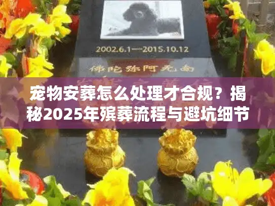 宠物安葬怎么处理才合规？揭秘2025年殡葬流程与避坑细节