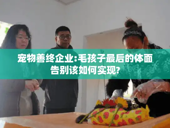 宠物善终企业:毛孩子最后的体面告别该如何实现?