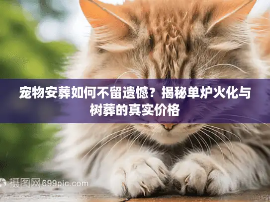 宠物安葬如何不留遗憾？揭秘单炉火化与树葬的真实价格
