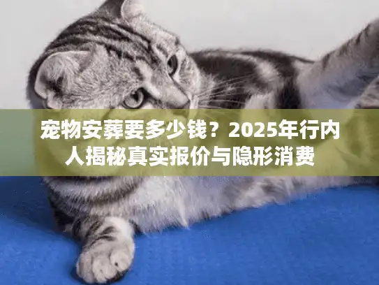 宠物安葬要多少钱？2025年行内人揭秘真实报价与隐形消费