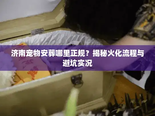 济南宠物安葬哪里正规？揭秘火化流程与避坑实况