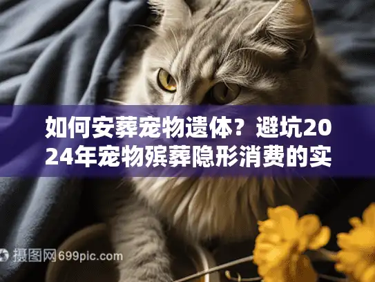 如何安葬宠物遗体？避坑2024年宠物殡葬隐形消费的实战内幕