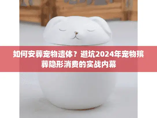 如何安葬宠物遗体？避坑2024年宠物殡葬隐形消费的实战内幕