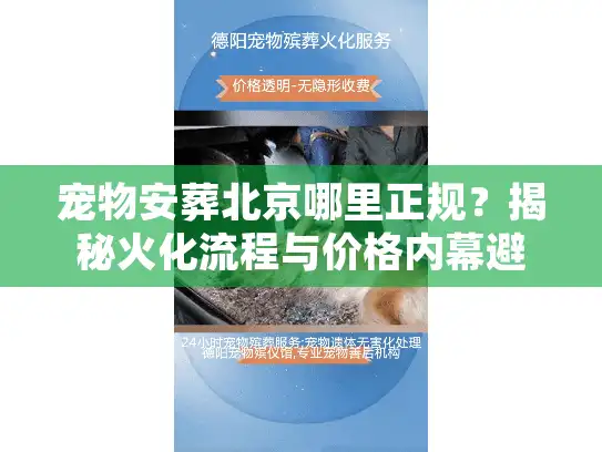 宠物安葬北京哪里正规？揭秘火化流程与价格内幕避坑