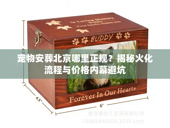 宠物安葬北京哪里正规？揭秘火化流程与价格内幕避坑