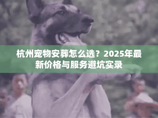 杭州宠物安葬怎么选？2025年最新价格与服务避坑实录