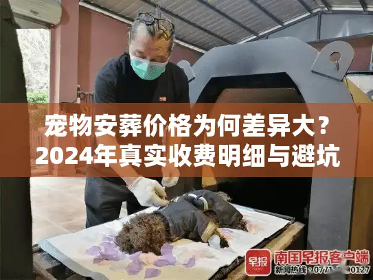 宠物安葬价格为何差异大？2024年真实收费明细与避坑内幕