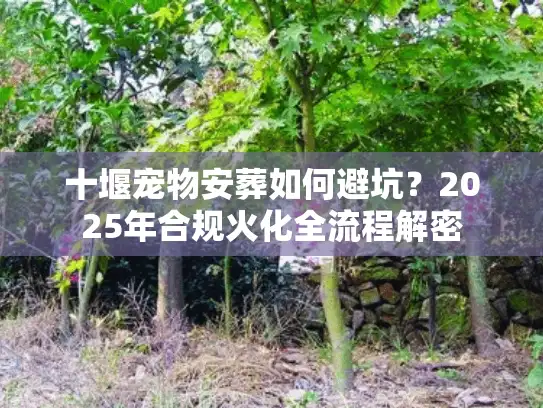 十堰宠物安葬如何避坑？2025年合规火化全流程解密