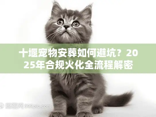 十堰宠物安葬如何避坑？2025年合规火化全流程解密