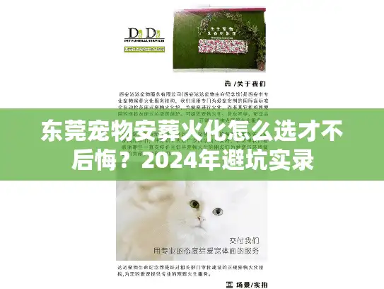 东莞宠物安葬火化怎么选才不后悔？2024年避坑实录