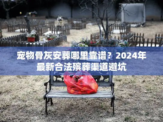 宠物骨灰安葬哪里靠谱？2024年最新合法殡葬渠道避坑