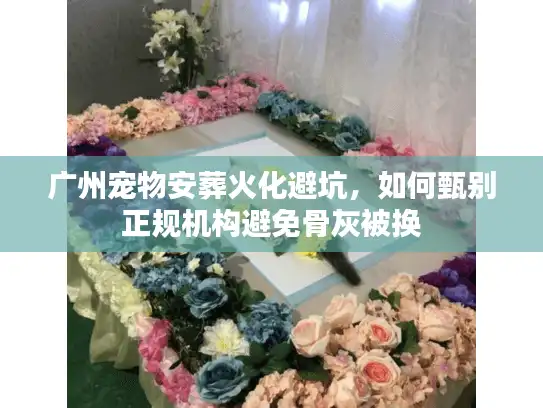 广州宠物安葬火化避坑，如何甄别正规机构避免骨灰被换