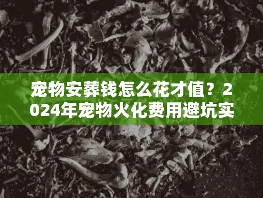宠物安葬钱怎么花才值？2024年宠物火化费用避坑实录