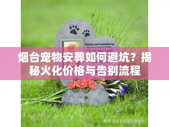 烟台宠物安葬如何避坑？揭秘火化价格与告别流程