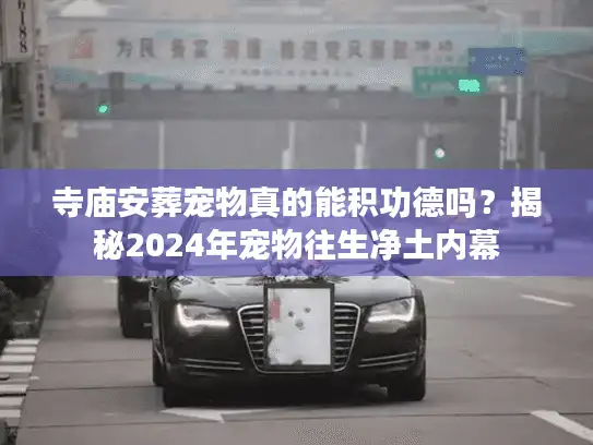 寺庙安葬宠物真的能积功德吗？揭秘2024年宠物往生净土内幕