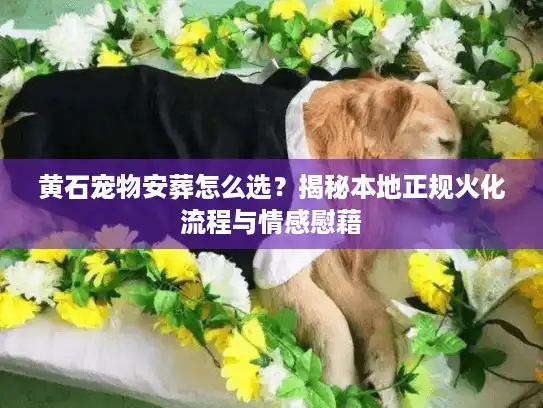 黄石宠物安葬怎么选？揭秘本地正规火化流程与情感慰藉