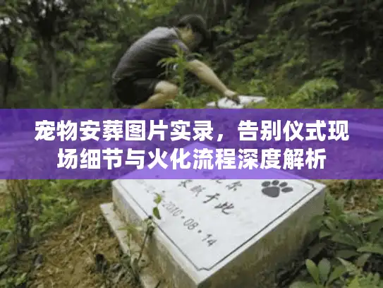 宠物安葬图片实录，告别仪式现场细节与火化流程深度解析