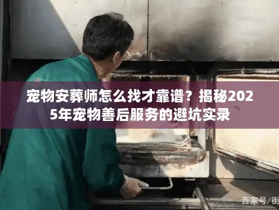 宠物安葬师怎么找才靠谱？揭秘2025年宠物善后服务的避坑实录