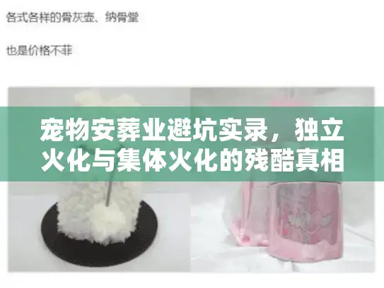 宠物安葬业避坑实录，独立火化与集体火化的残酷真相