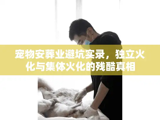 宠物安葬业避坑实录，独立火化与集体火化的残酷真相