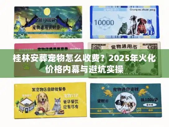 桂林安葬宠物怎么收费？2025年火化价格内幕与避坑实操